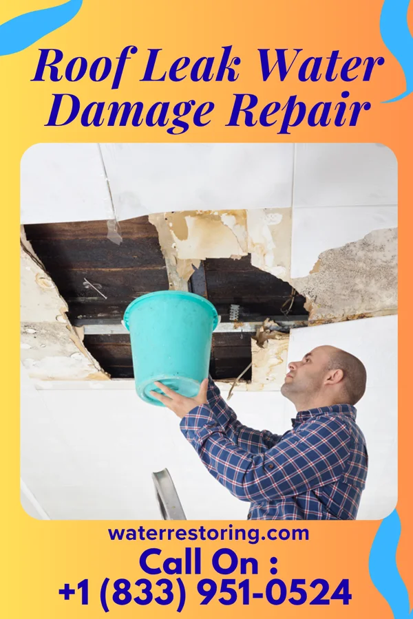 Roof Leak Water Damage Repair in Dawson, TX
