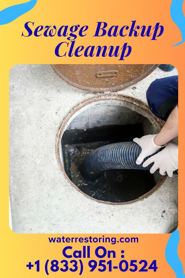 Sewage Backup Cleanup in Dawson, TX